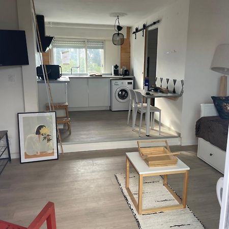 Studio A 15 Mn De Toulouse A Castelginest Екстер'єр фото